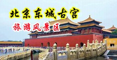 欧美黑人暴力强制深喉中国北京-东城古宫旅游风景区